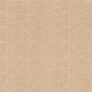 Velvet-Palm-Beach
