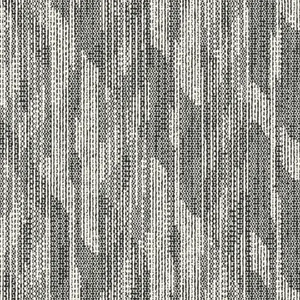 Cotton Amaya
